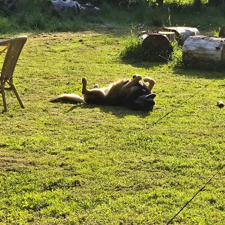 Im Tal Der Stille Treseburg