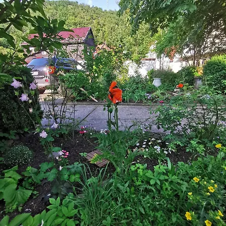 Im Tal Der Stille - Ot Treseburg
