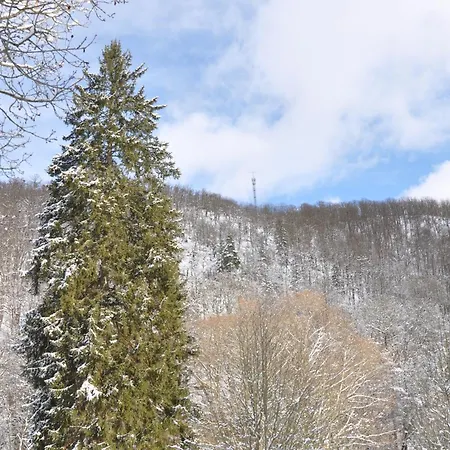 ゲストハウス Im Tal Der Stille Treseburg