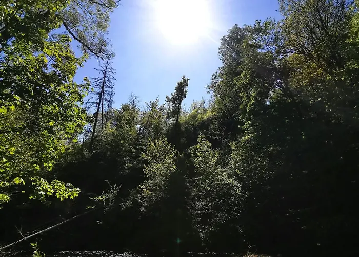 بيت ضيافة Im Tal Der Stille *