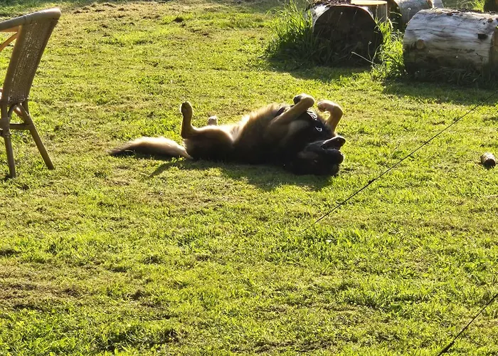 Im Tal Der Stille Treseburg