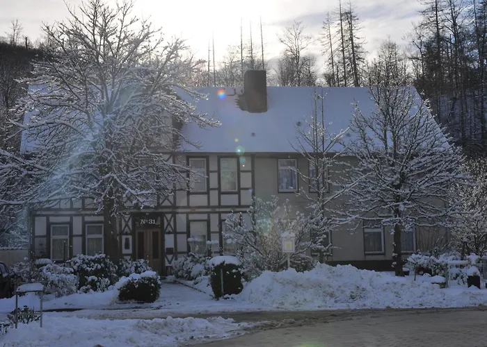 Im Tal Der Stille بيت ضيافة Treseburg