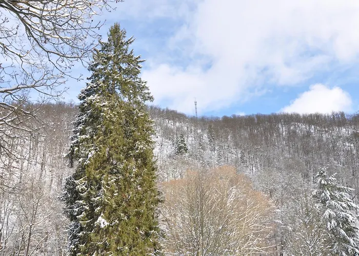 Penzion Im Tal Der Stille Treseburg